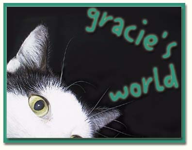 Welcome to Gracie's World!