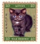 kitten war heroes: fluffy, 1912