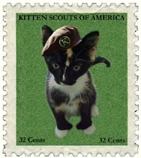 kitten scouts of america