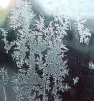 frost on the truck's window 7:00 this morning